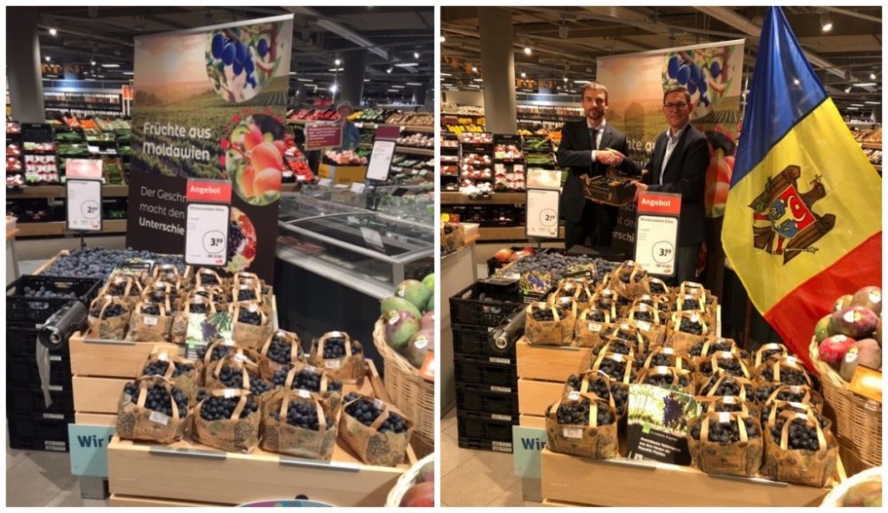 FOTO // Fructele moldovenești au ajuns în magazinele din Germania